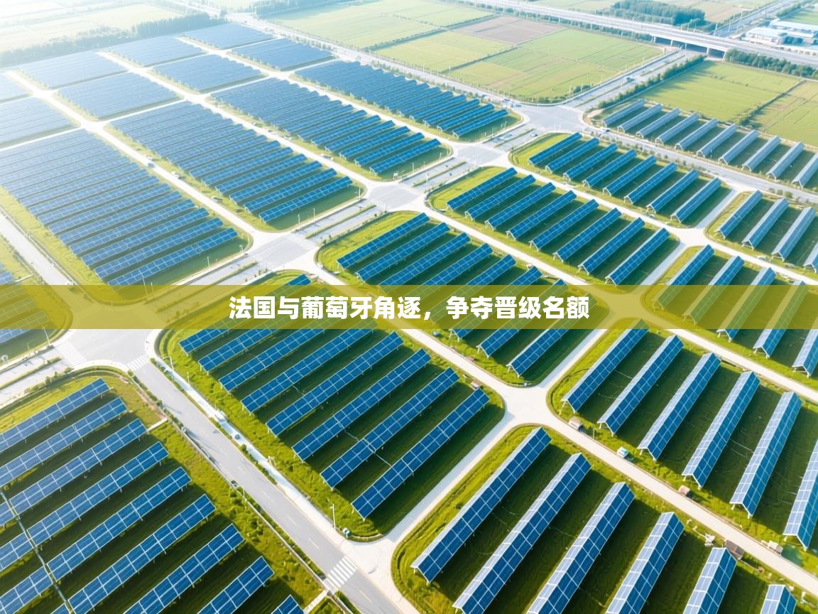 法国与葡萄牙角逐，争夺晋级名额  第2张